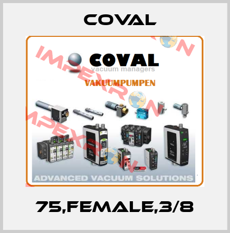 75,FEMALE,3/8 Coval