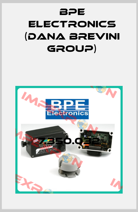 7.350.032 BPE Electronics (Dana Brevini Group)
