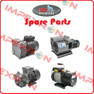 (Exhaust filter, Oil filter and Air filter) for PB270 BIGIESSE BGS GENERAL SRL