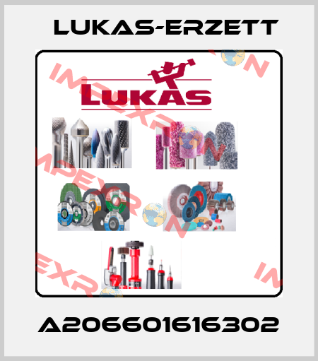 A206601616302 Lukas-Erzett