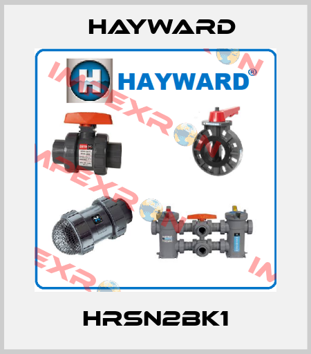 HRSN2BK1 HAYWARD