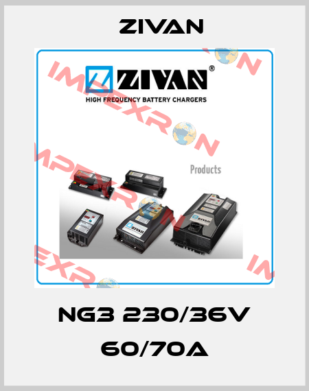 NG3 230/36V 60/70A ZIVAN
