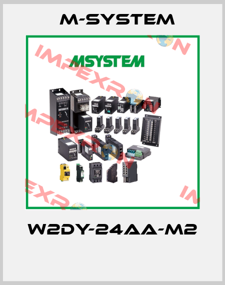 W2DY-24AA-M2  M-SYSTEM