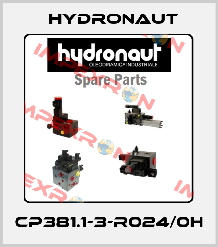 CP381.1-3-R024/0H Hydronaut