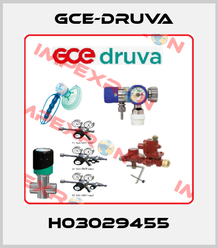 H03029455 Gce-Druva