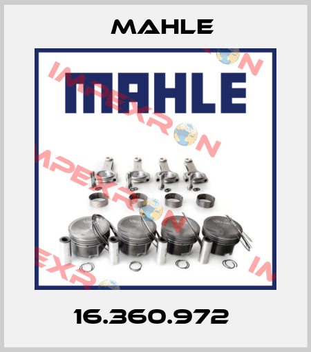 16.360.972  Mahle