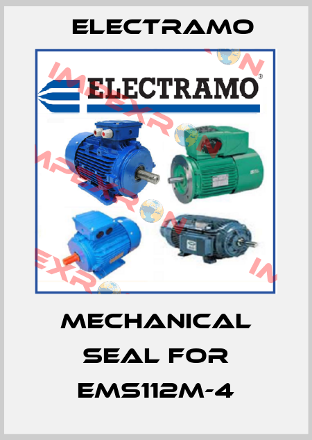 Mechanical seal for EMS112M-4 Electramo