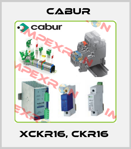 XCKR16, CKR16  Cabur