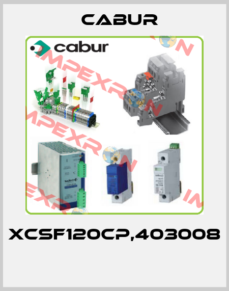 XCSF120CP,403008  Cabur