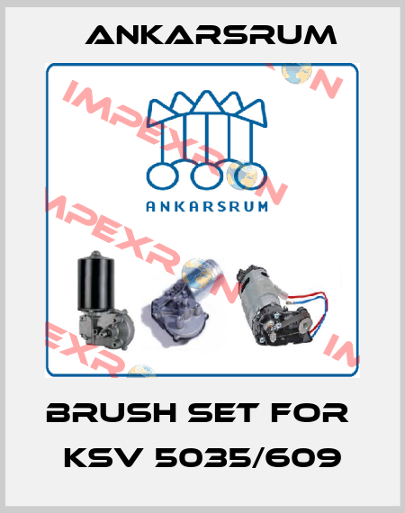 brush set for  KSV 5035/609 Ankarsrum