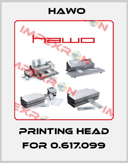 printing head for 0.617.099 HAWO