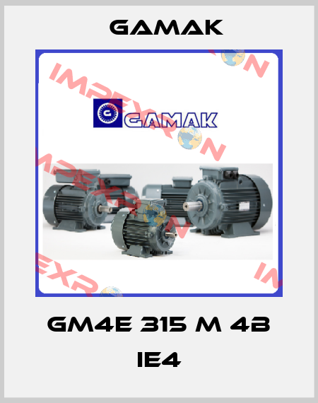 GM4E 315 M 4b IE4 Gamak