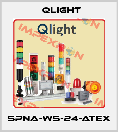 SPNA-WS-24-ATEX Qlight