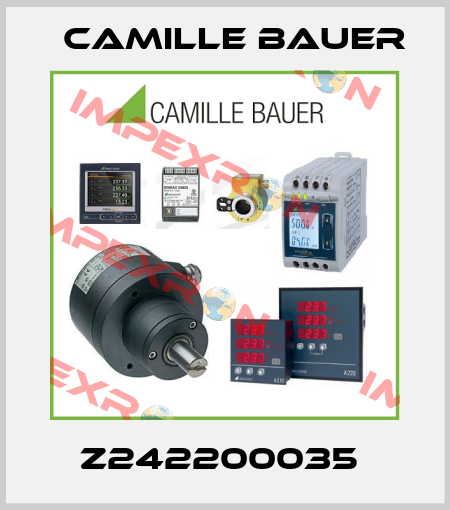 Z242200035  Camille Bauer