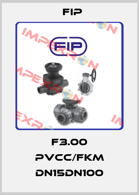 F3.00 PVCC/FKM DN15DN100 Fip