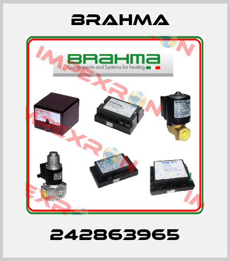 242863965 Brahma