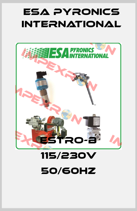 ESTRO-B 115/230V 50/60Hz ESA Pyronics International