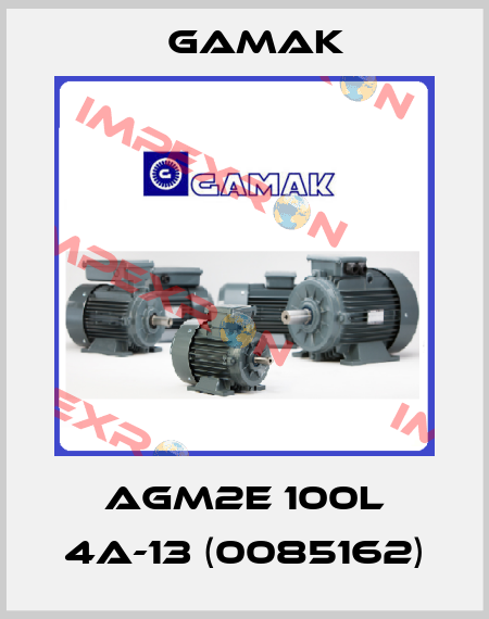 AGM2E 100L 4A-13 (0085162) Gamak