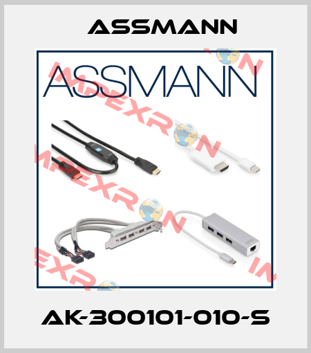 AK-300101-010-S Assmann