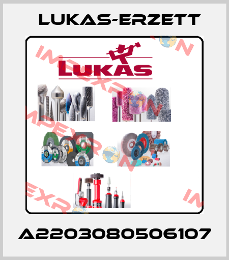 A2203080506107 Lukas-Erzett