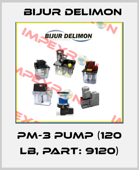 PM-3 Pump (120 lb, part: 9120) Bijur Delimon