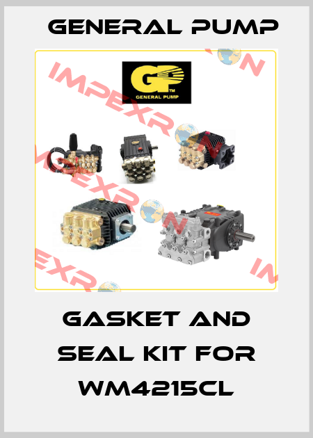 Gasket and seal kit for WM4215CL General Pump