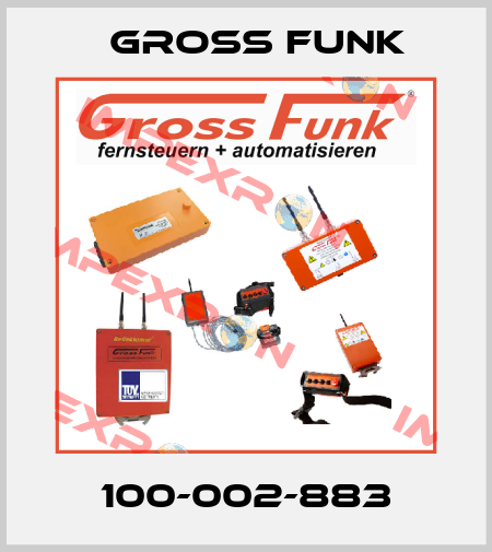 100-002-883 Gross Funk