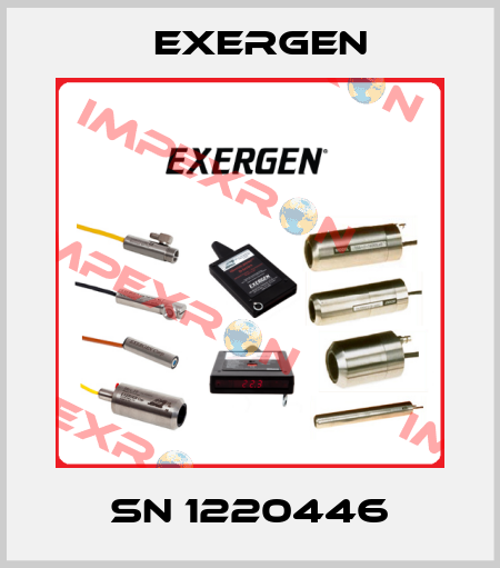 SN 1220446 Exergen