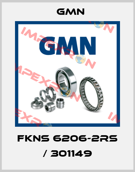 FKNS 6206-2RS / 301149 Gmn