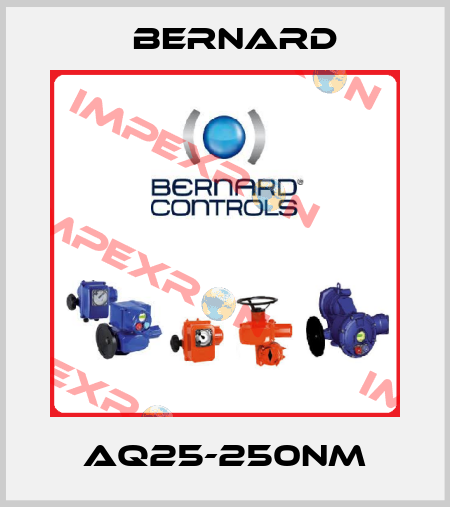AQ25-250NM Bernard