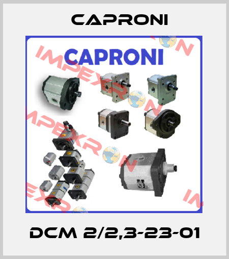 DCM 2/2,3-23-01 Caproni