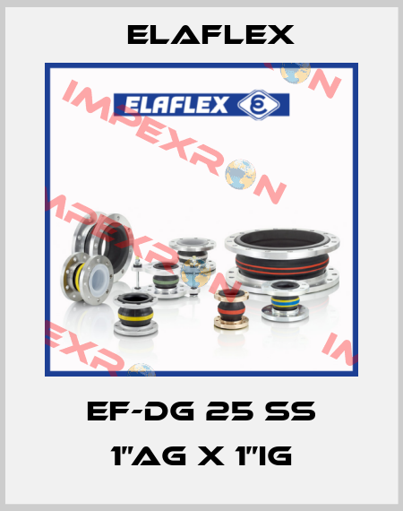 EF-DG 25 SS 1”AG X 1”IG Elaflex