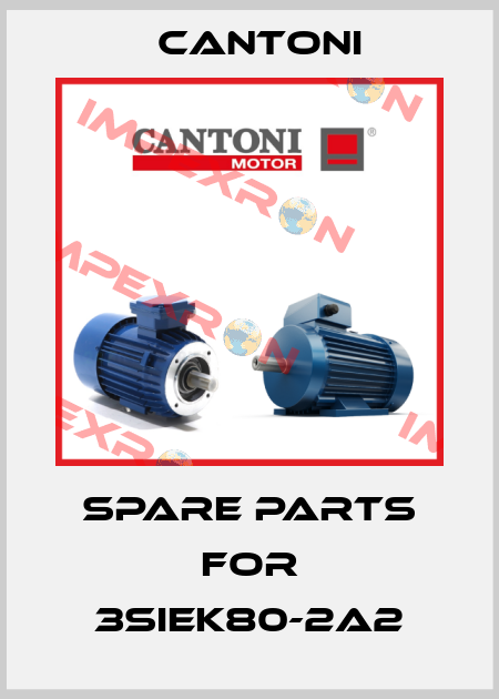 spare parts for 3SIEK80-2A2 Cantoni