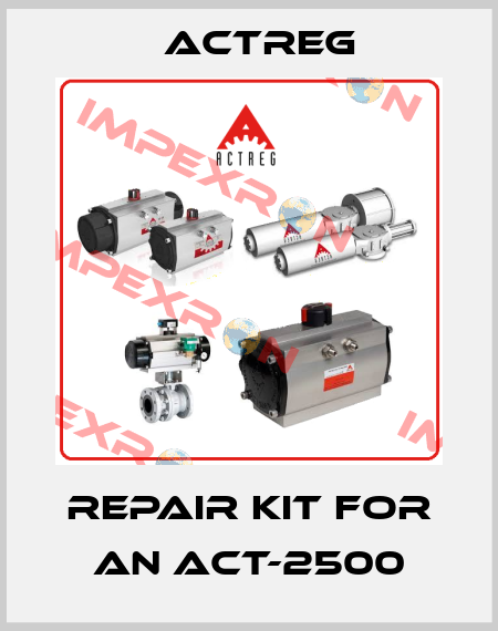 repair kit for an ACT-2500 Actreg