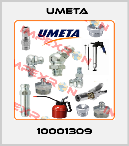 10001309 UMETA