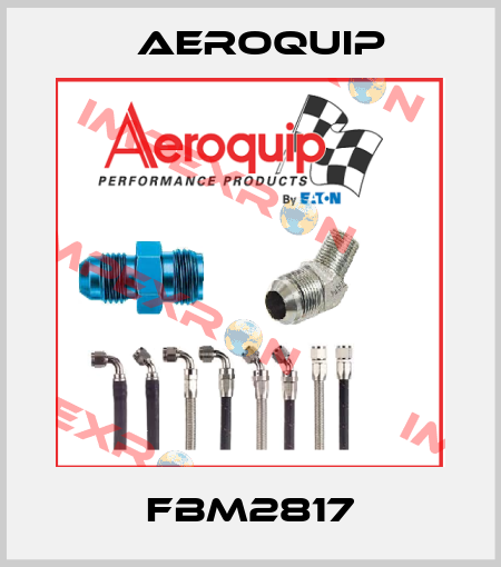 FBM2817 Aeroquip
