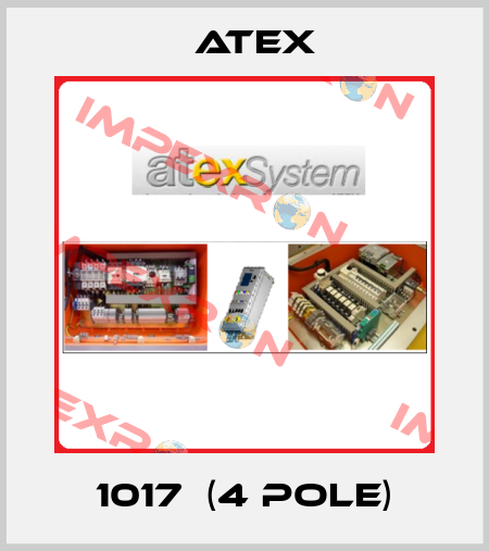 1017  (4 pole) Atex