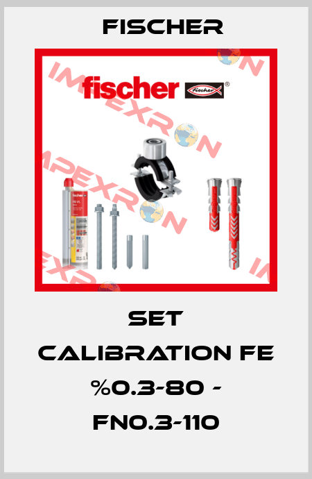 SET CALIBRATION FE %0.3-80 - FN0.3-110 Fischer