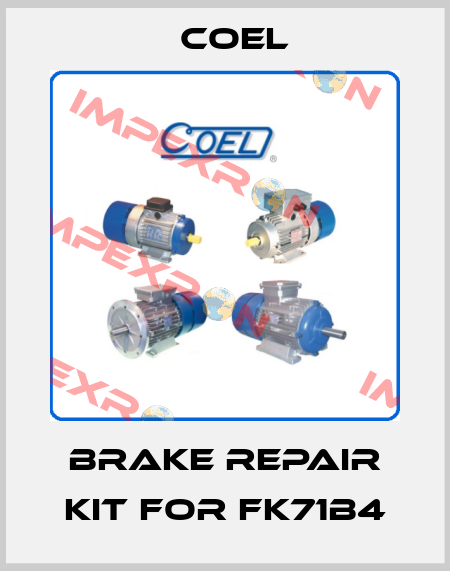 brake repair kit for FK71B4 Coel
