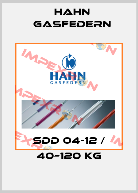 SDD 04-12 / 40–120 kg Hahn Gasfedern