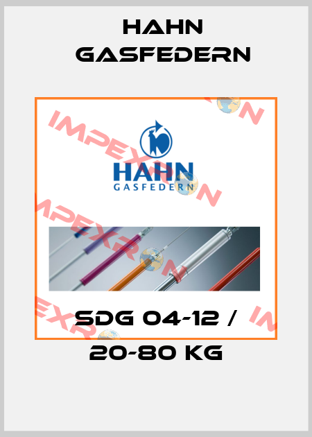 SDG 04-12 / 20-80 kg Hahn Gasfedern