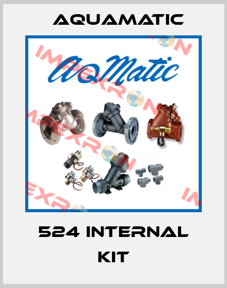 524 internal kit AquaMatic