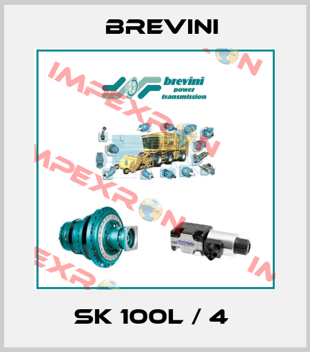 SK 100L / 4  Brevini