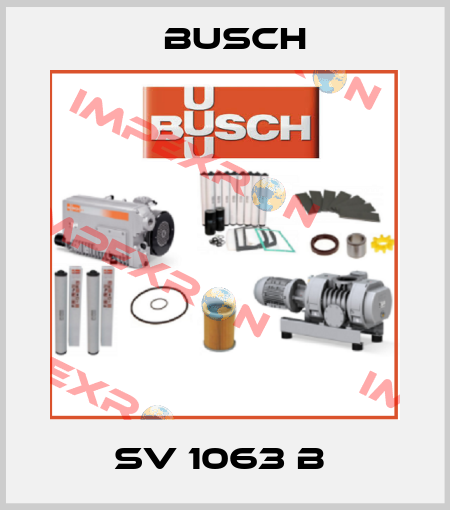 SV 1063 B  Busch