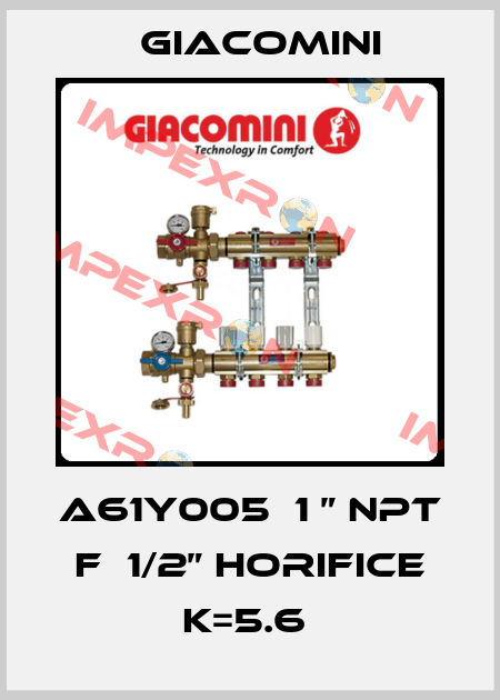 A61Y005  1 ” NPT F  1/2” horifice K=5.6  Giacomini