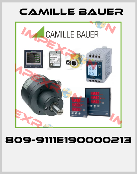 809-9111E190000213  Camille Bauer