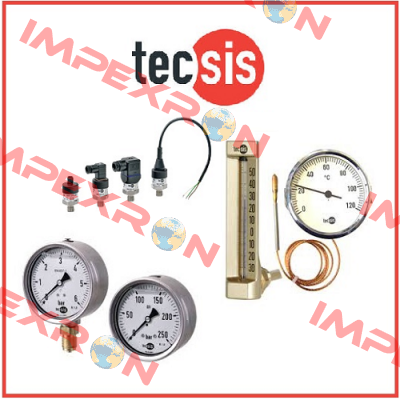 T256.409025 /R 1/4" Tecsis (WIKA Group)