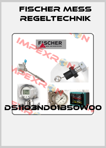 DS1103ND01B50W00  Fischer Mess Regeltechnik