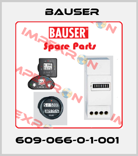609-066-0-1-001  Bauser