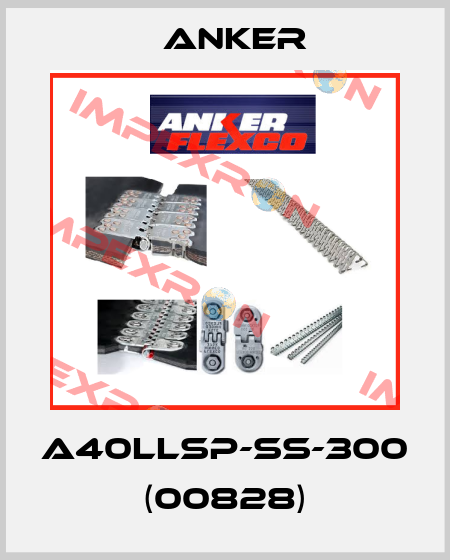 A40LLSP-SS-300 (00828) Anker